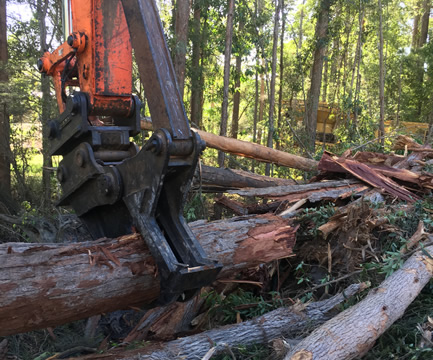 Land clearing Sunshine Coast Brisbane