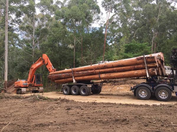 tree log cartage Sunshine Coast